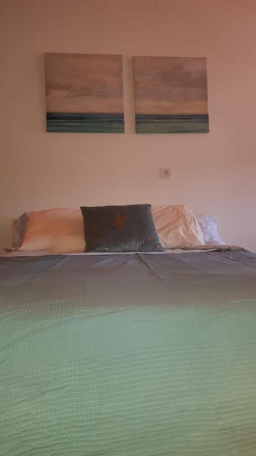 Acogedor Apartamento En Benalup-Casas Viejas ภายนอก รูปภาพ